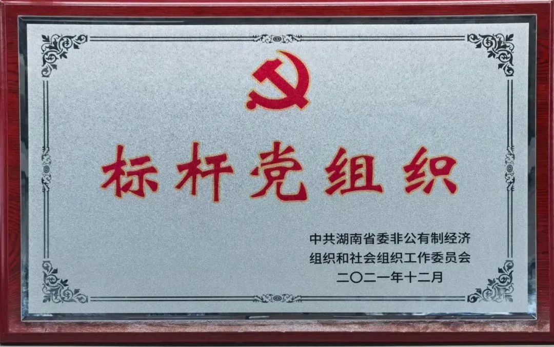 党建品牌亮起来！9001cc金沙以诚为本智能党委获评“标杆党组织”