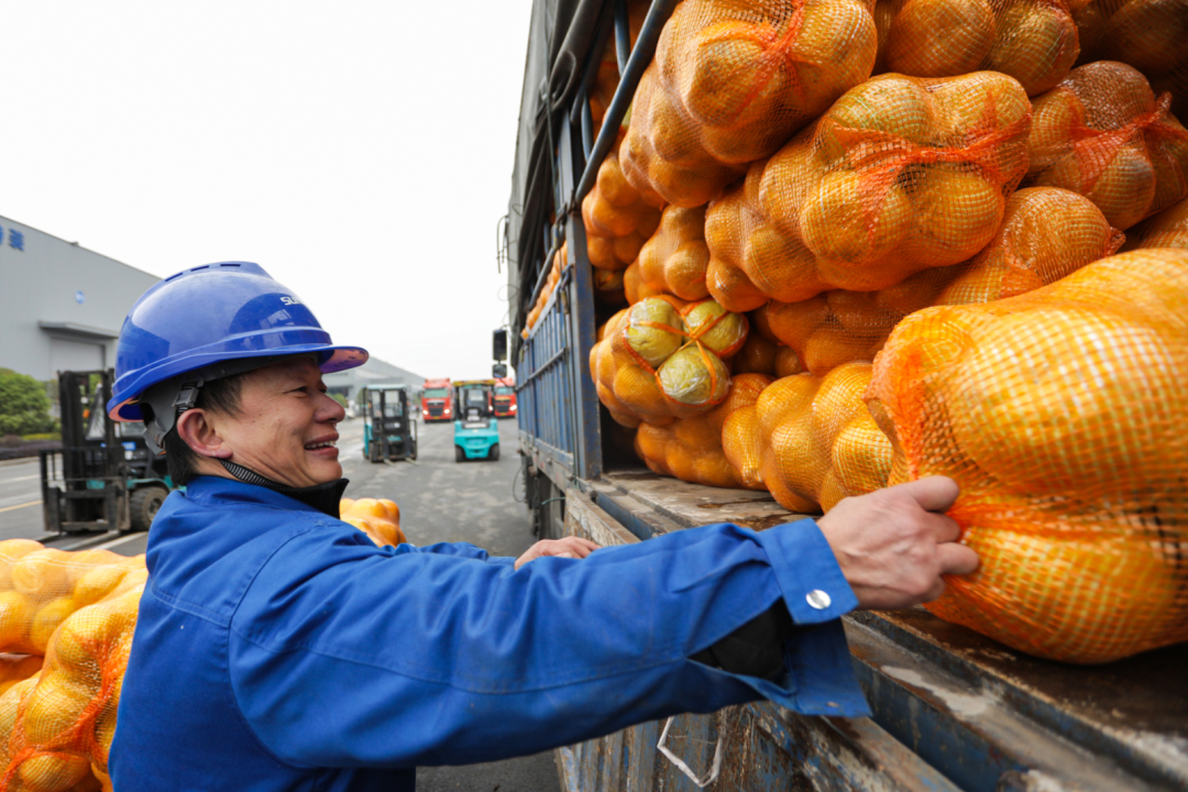 点赞！9001cc金沙以诚为本智能乐成入选“上市公司墟落振兴优异实践案例”